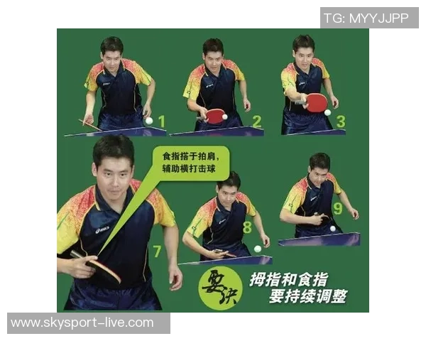 从零基础到高手之路乒乓球技术全方位提升指南 从零基础到高手之路乒乓球技术全方位提升指南