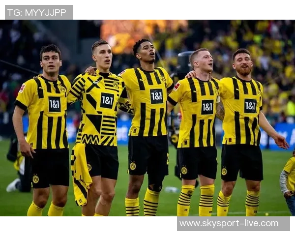 多特蒙德与不来梅激战结果揭晓球迷热议精彩瞬间与未来展望